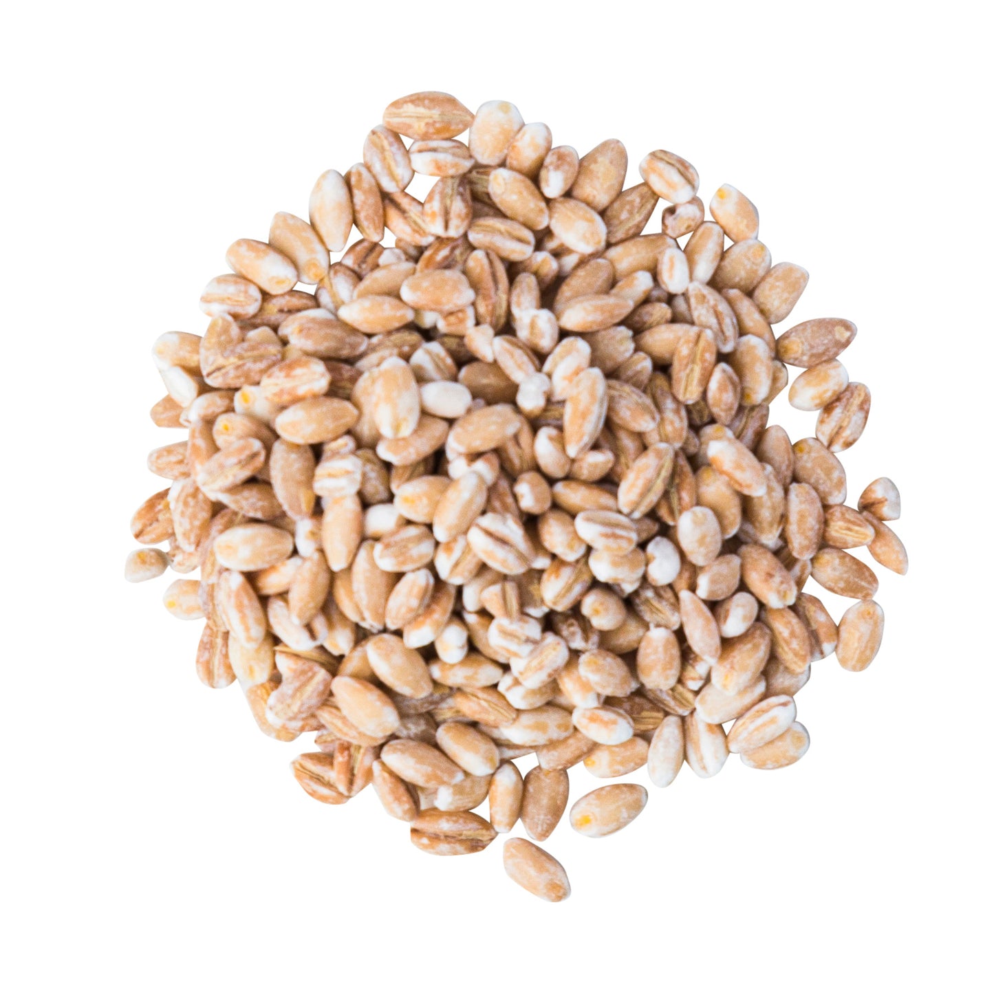 Barley Pearl Hulled Organic - 25kg