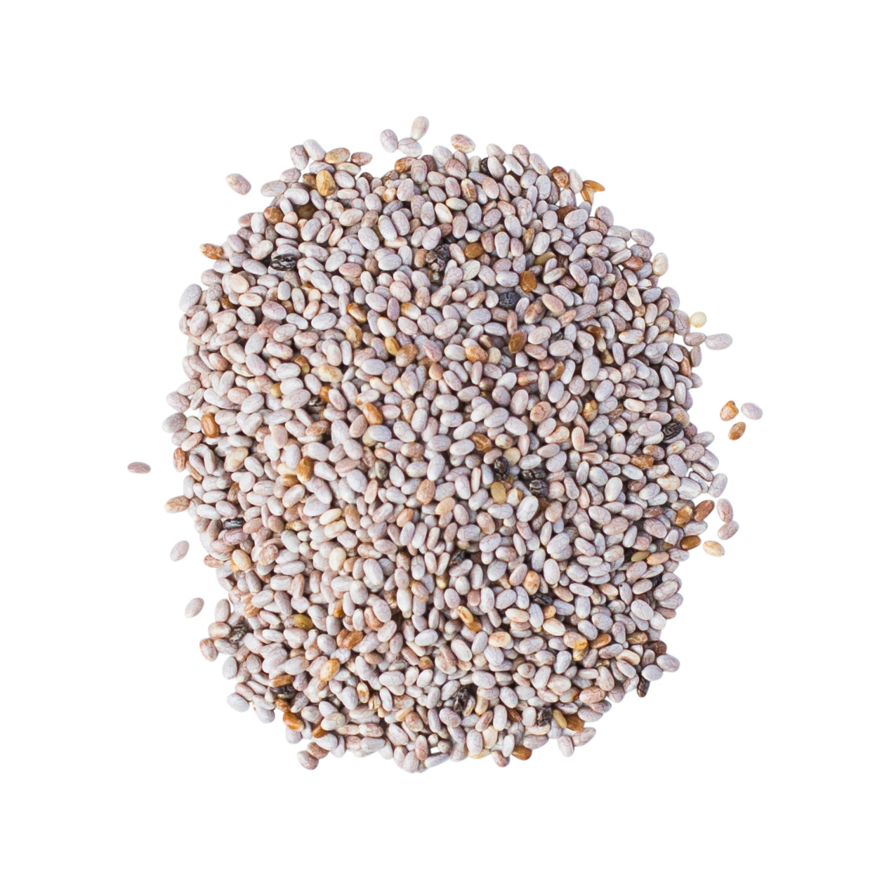 Chia Seeds White Organic - 22.6kg