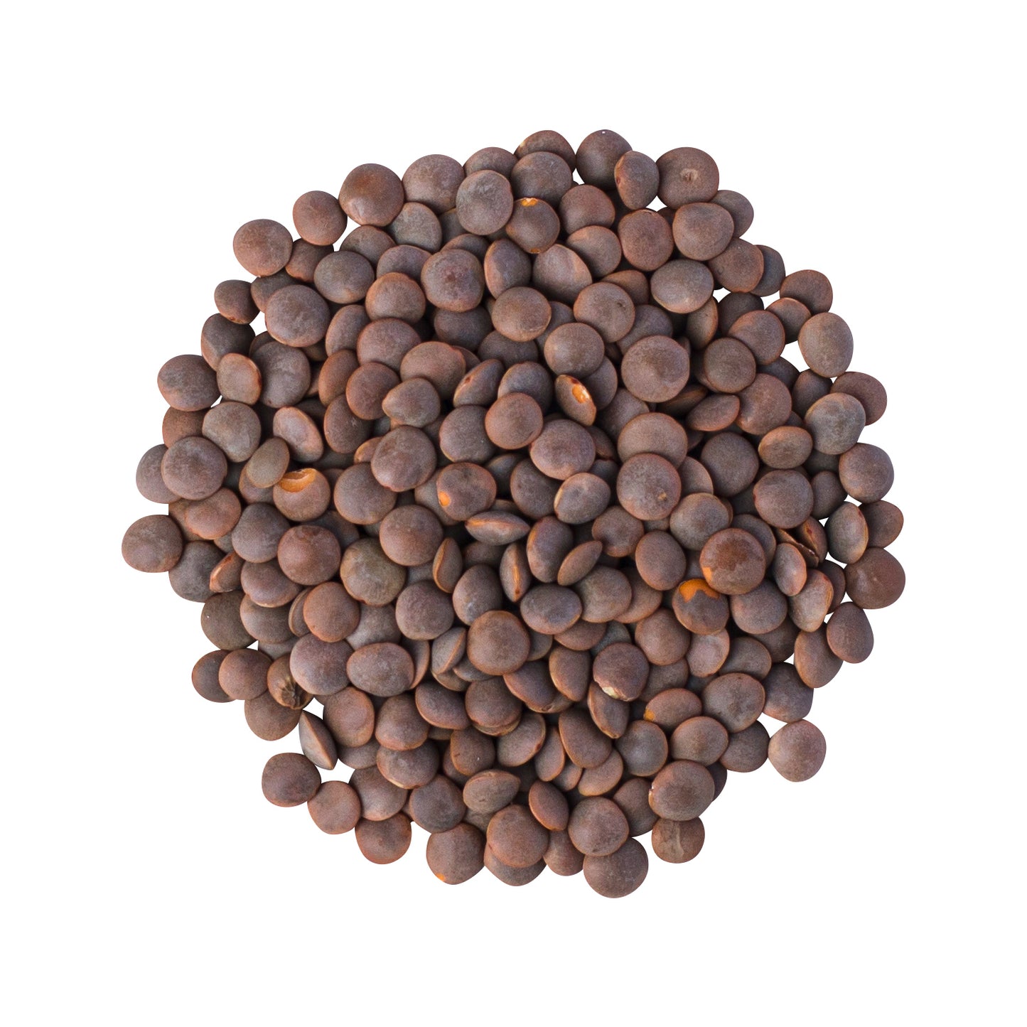 Lentils Brown Organic - 25kg
