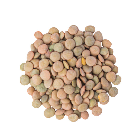 Lentils Green Blonde Organic - 25kg