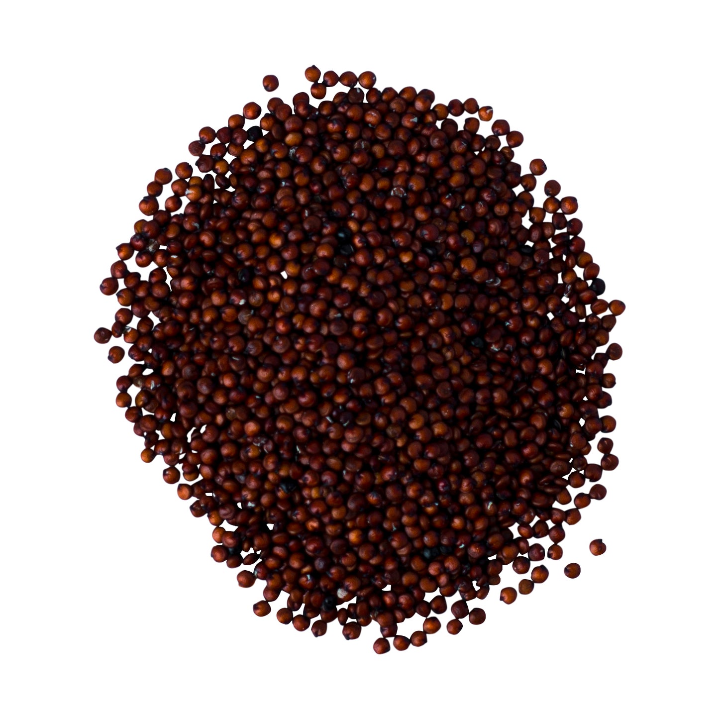 Quinoa Red Organic - 25kg
